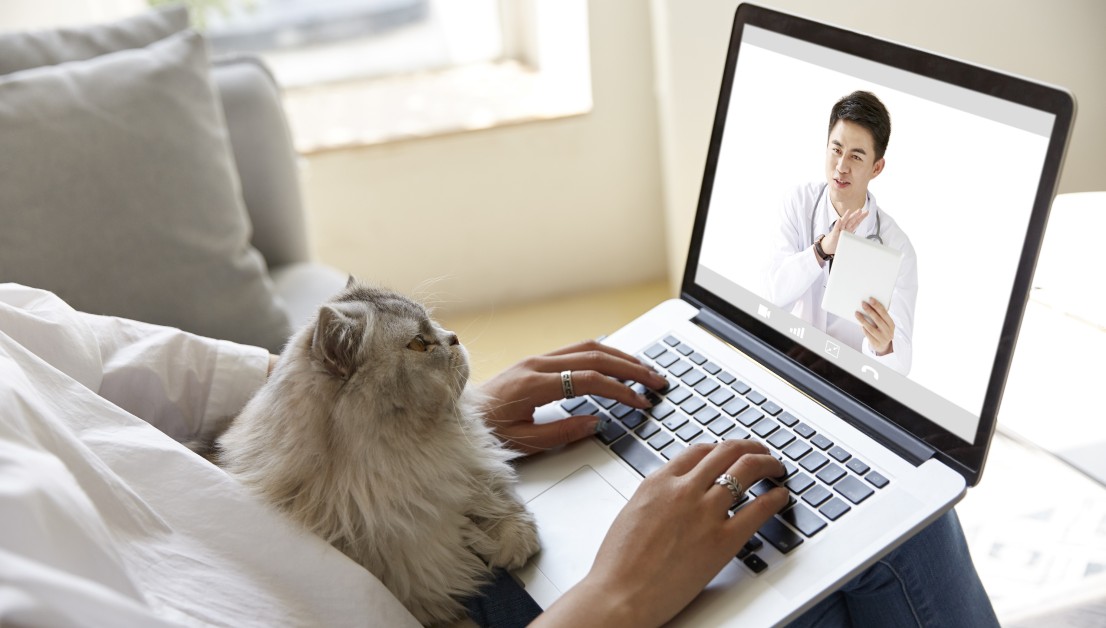 Pros and Cons of AI Tech for Pet Owners